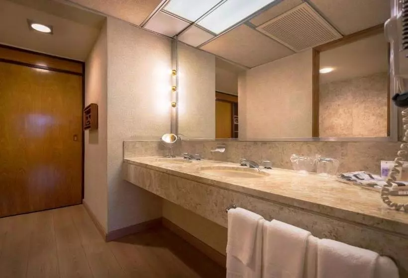 Fotos del hotel Maksoud Plaza  Distributed By Accors:  11