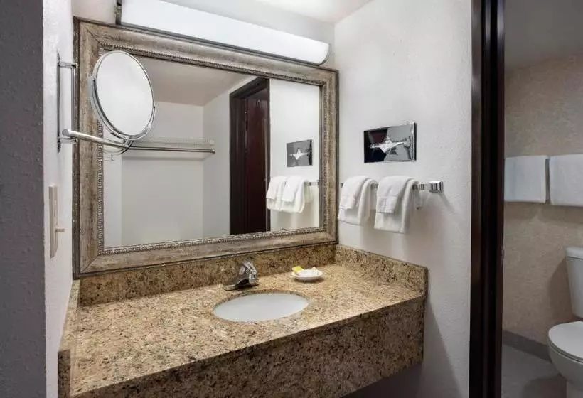 Fotos del hotel Executive Inn By The Space Needle:  8