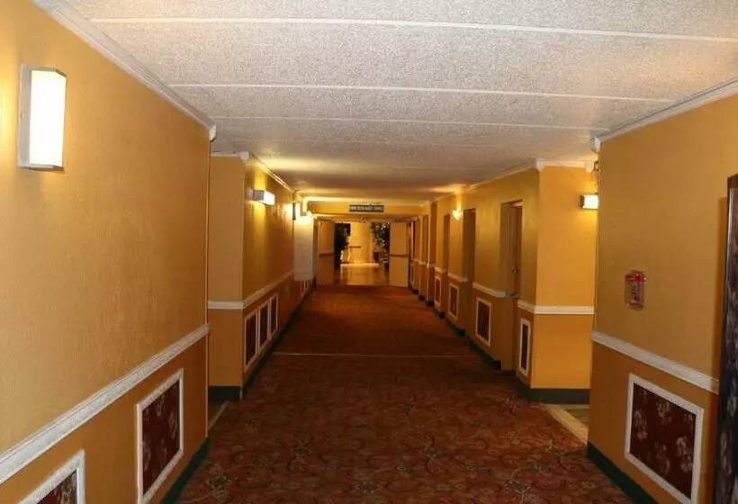 Fotos del hotel Idrive Grand Resort & Suites:  9