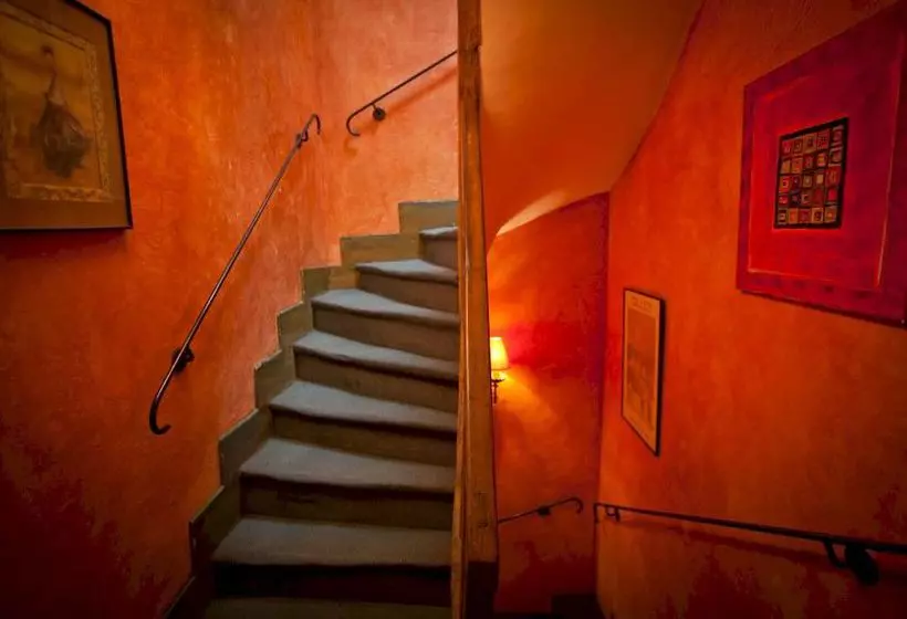 Fotos del hotel De La Tulipe:  5