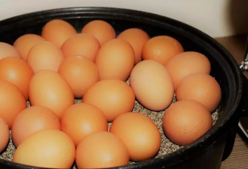 Fotos del hotel Dresden Airport:  13