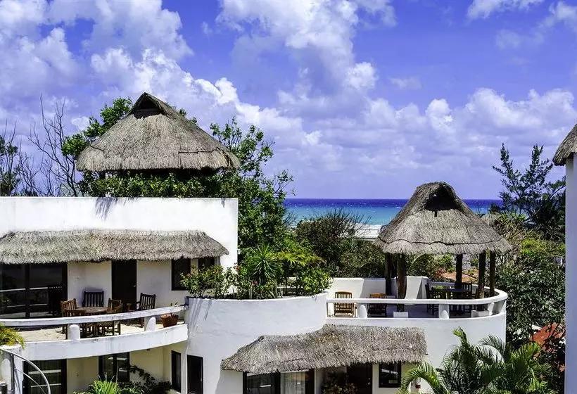 Fotos del hotel Blue Palms By Kamuvan:  6