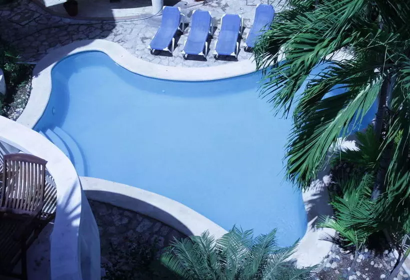 Fotos del hotel Blue Palms By Kamuvan:  7