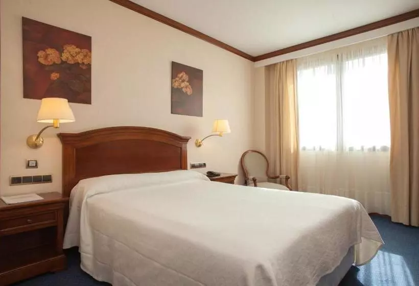 Fotos del hotel Villa De Almazan:  7