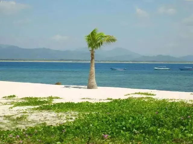 Fotos del hotel Sanya Royal Garden Resort:  8