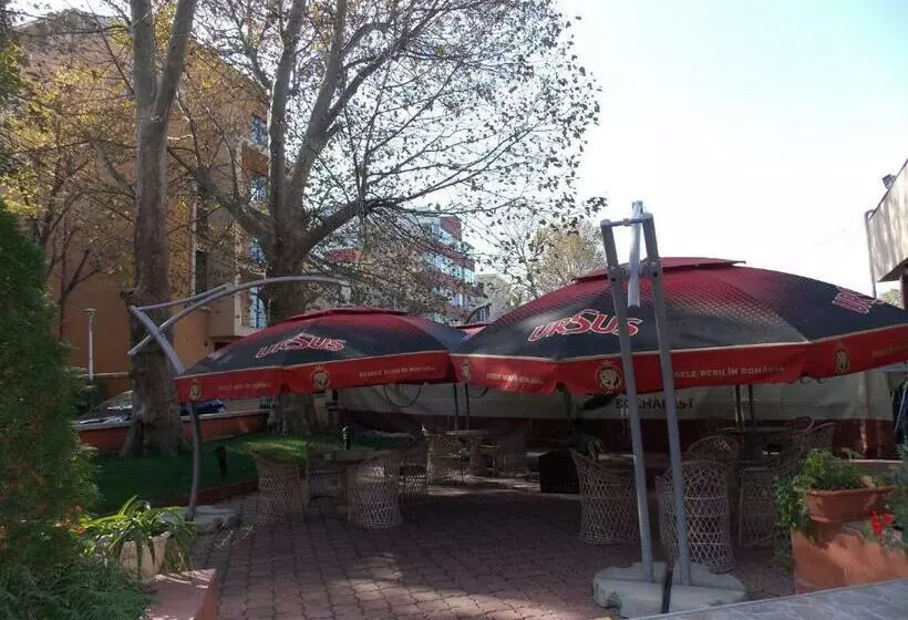 Fotos del hotel Johann Strauss:  6