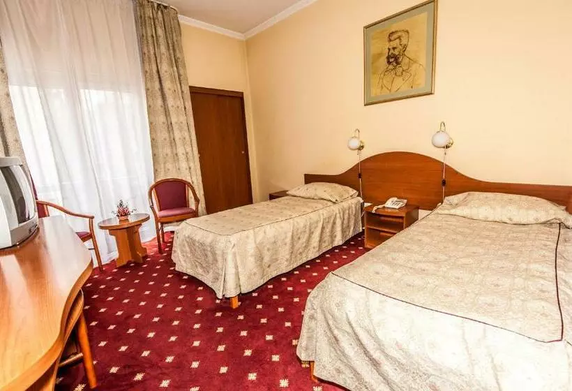 Fotos del hotel Johann Strauss:  13