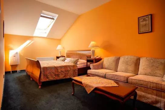 Fotos del hotel Bohemia Plaza:  15