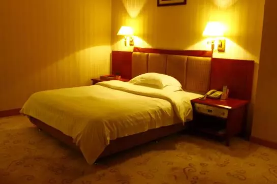 Fotos del hotel Rotating Palace:  8