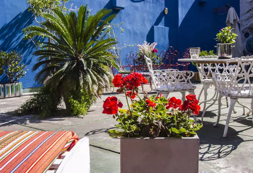 Fotos del hotel Livian Guest House:  6