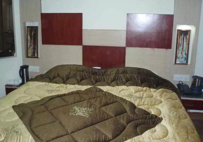 Fotos del hotel Hotel Raunak Plaza - Delhi And Ncr:  2