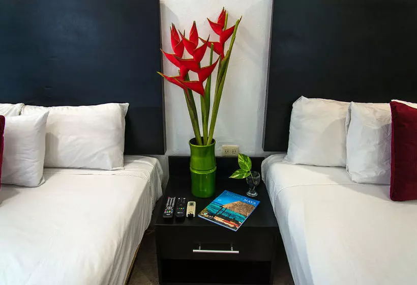 Fotos del hotel Blue Parrot Fifth Avenue:  12