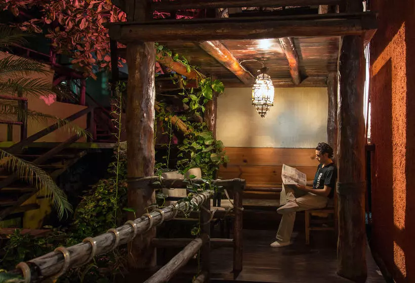 Fotos del hotel Blue Parrot Fifth Avenue:  4