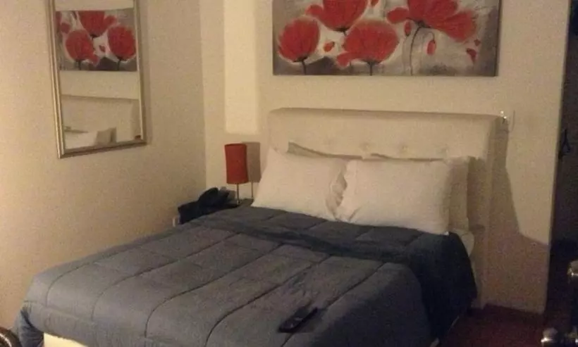 Fotos del hotel Boutique Zona G:  14