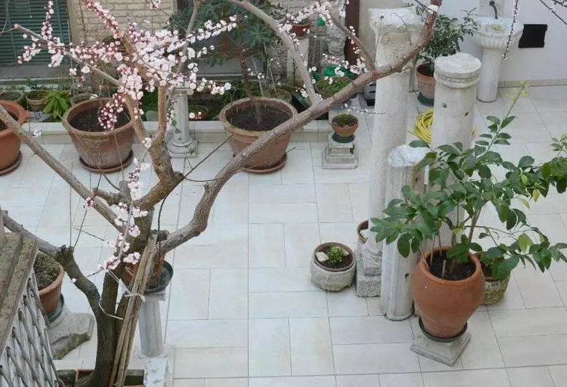 Fotos del hotel Alloggi Barbaria:  2