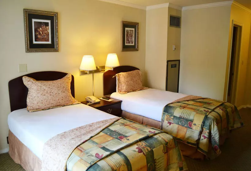 Fotos del hotel Thaison Palace:  4