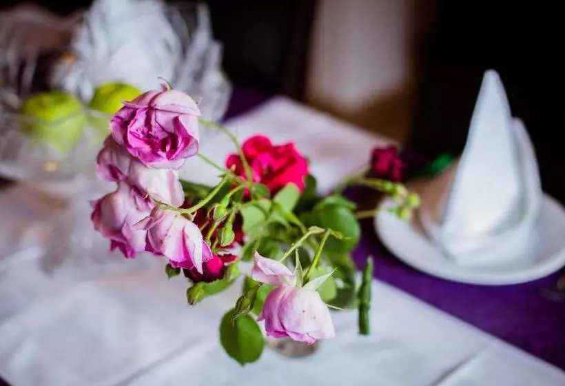 Fotos del hotel Vila Ile De France:  6