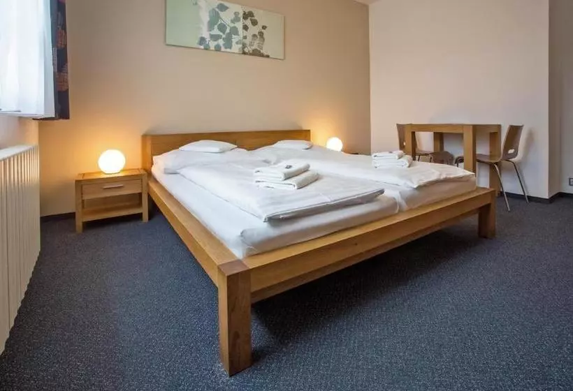 Fotos del hotel Lions Plzen:  24