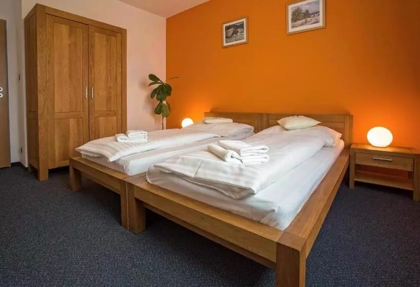 Fotos del hotel Lions Plzen:  8