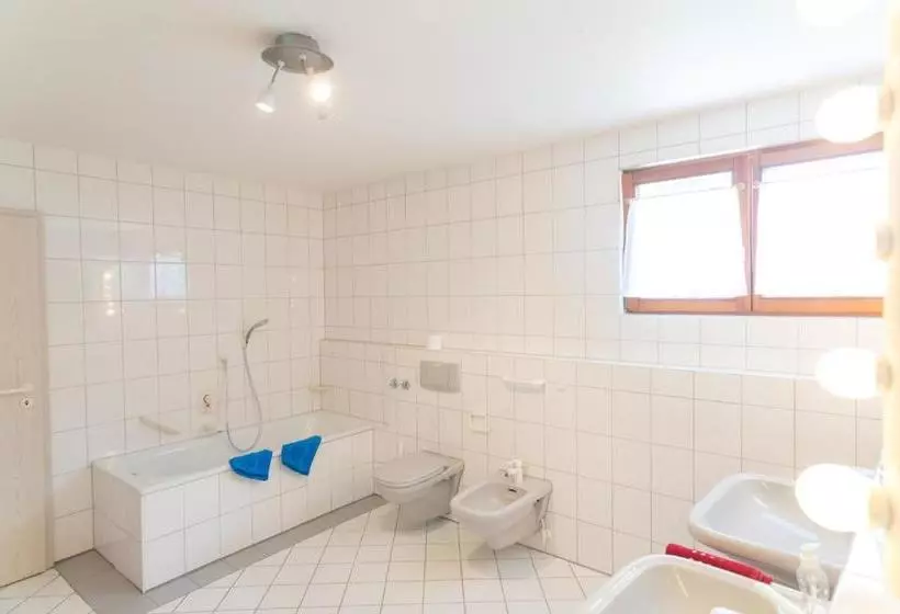 Fotos del hotel Hirschengarten:  6