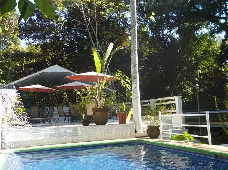 Fotos del hotel Mandarina:  5