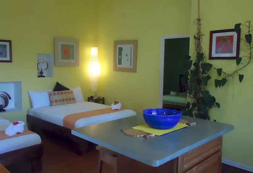 Fotos del hotel Mandarina:  11