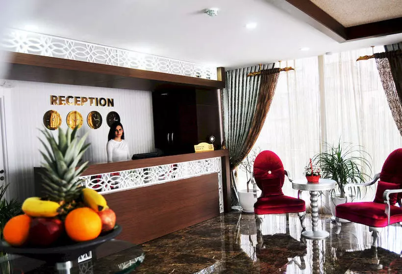 Fotos del hotel Niss Business:  7