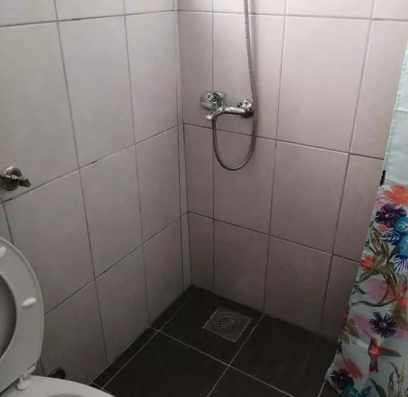 Fotos del hotel šajo:  5