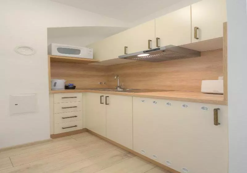 Fotos del hotel Old Town Petkovšek Apartments:  7