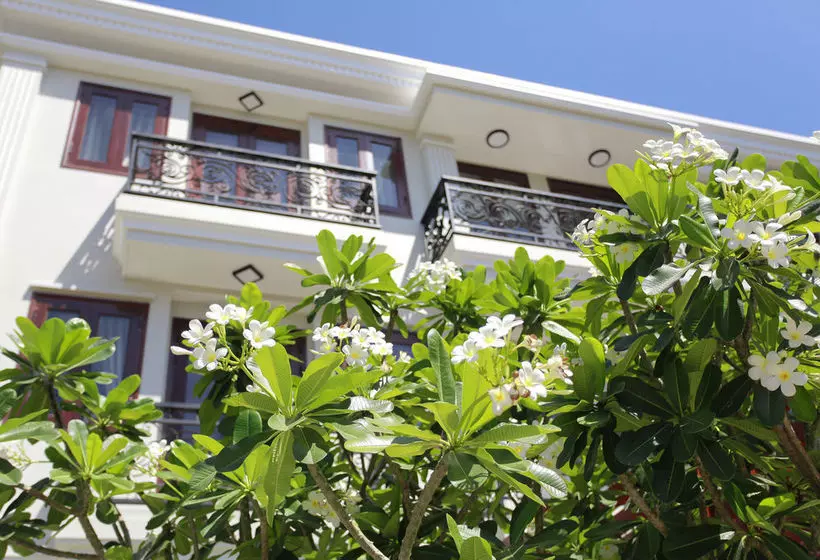 Fotos del hotel Hoi An Travel Lodge:  20