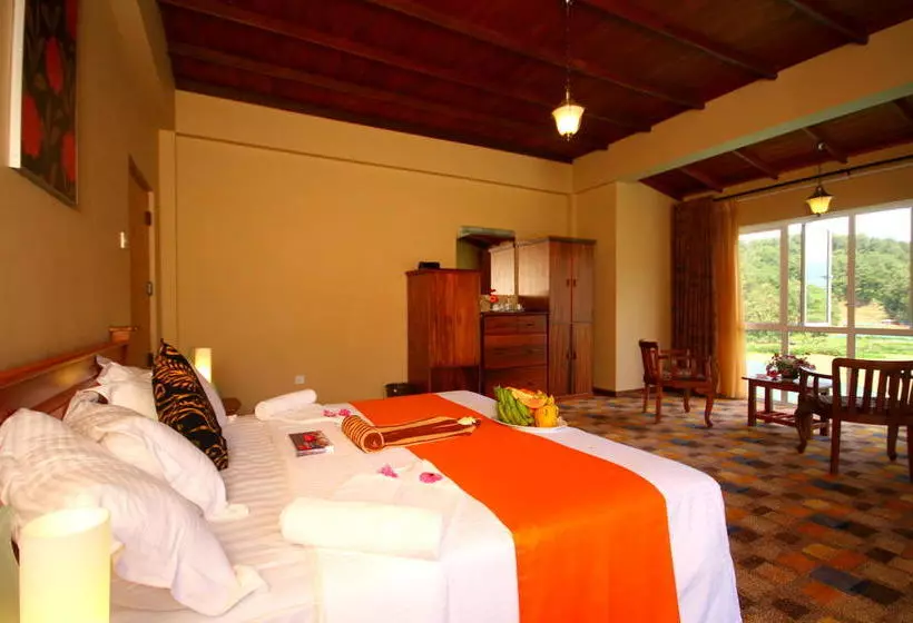 Fotos del hotel Ashford:  11