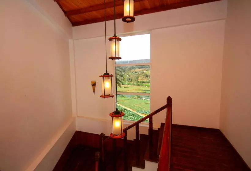 Fotos del hotel Ashford:  13