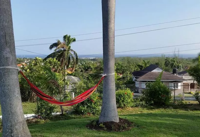 Fotos del hotel A Piece Of Paradise Montego Bay:  19