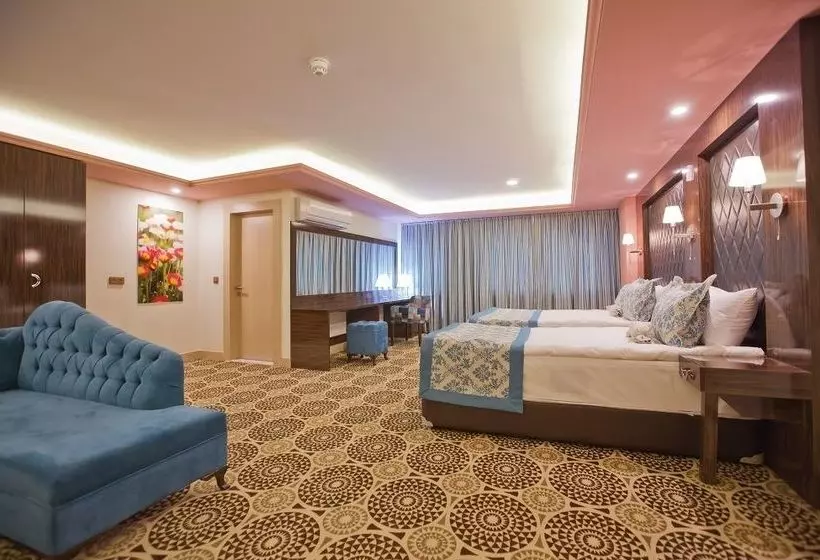 Fotos del hotel Celikhan:  9
