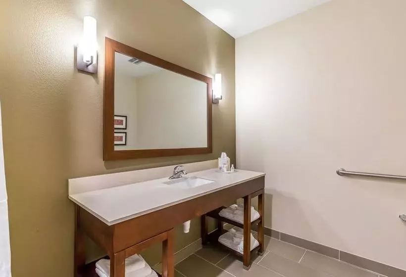 Fotos del hotel Comfort Suites Houston I45 North:  8