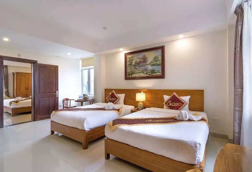 Fotos del hotel Orchid Hotel Da Nang:  18