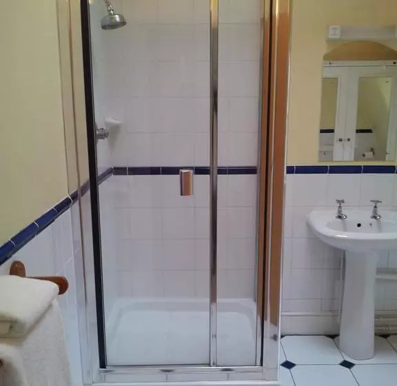 Fotos del hotel Brook:  20