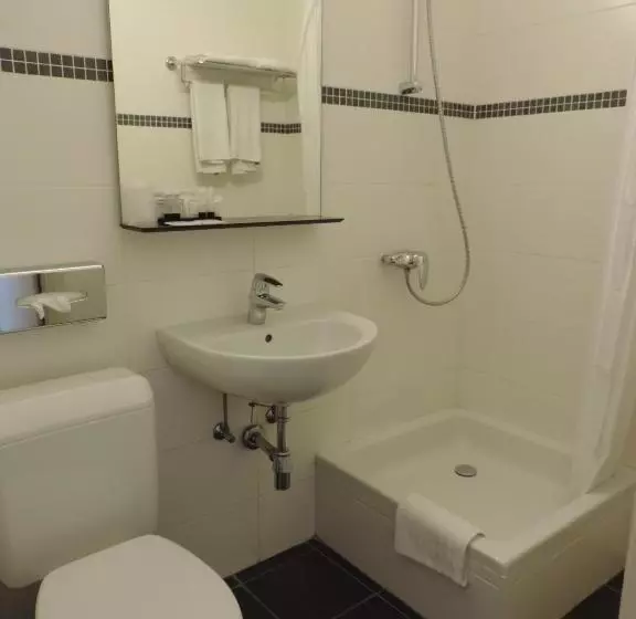 Fotos del hotel Binnenhof:  5