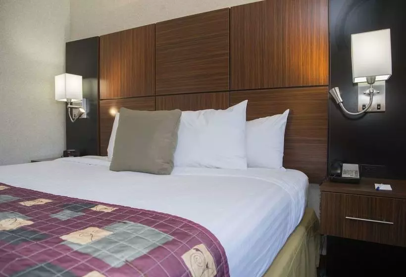 Fotos del hotel Charles River Motel:  15