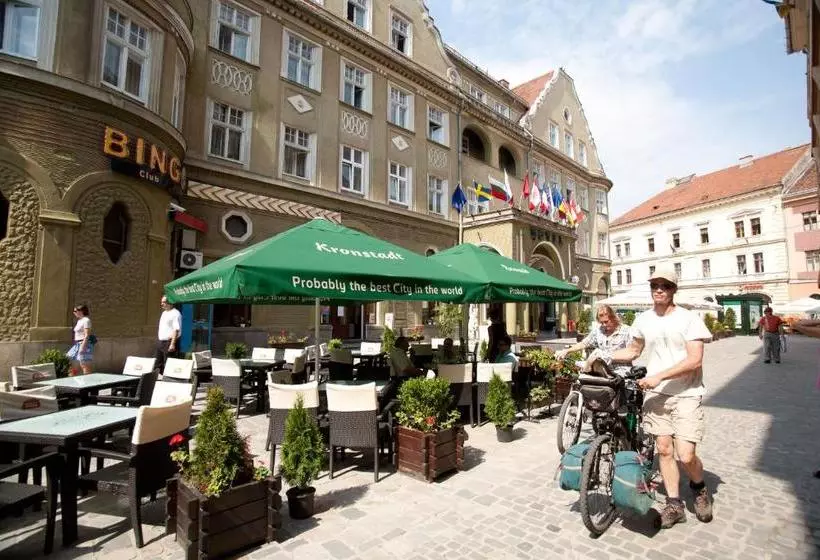 Fotos del hotel Coroana:  7