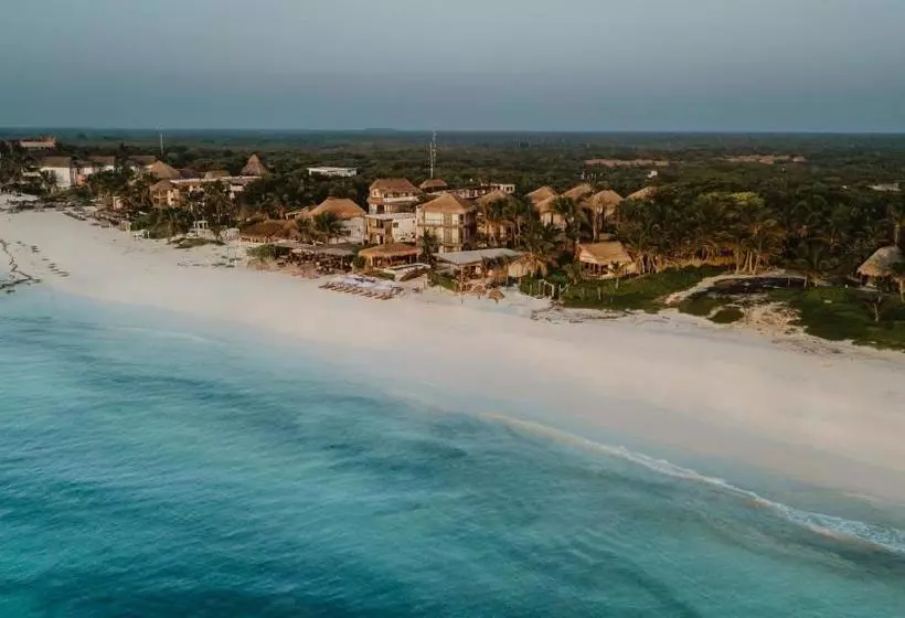 Fotos del hotel Akkuun Tulum - Adults Only:  10