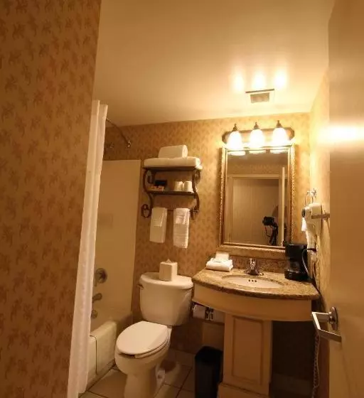 Fotos del hotel Gateway Hotel Dallas:  8