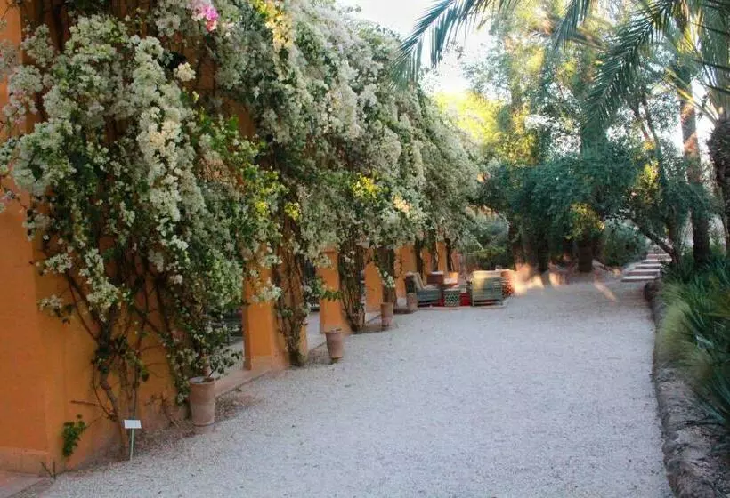 Fotos del hotel Jnane Tamsna:  11