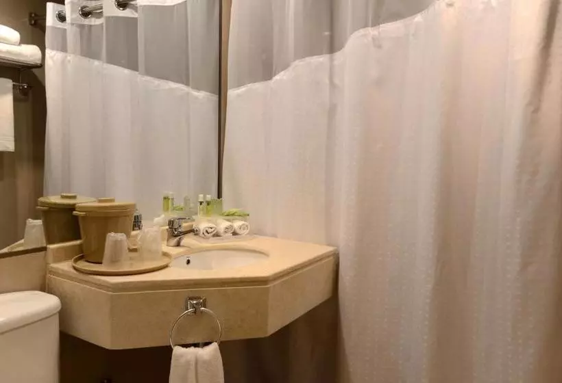 Fotos del hotel Holiday Inn Express  Puerto Montt  Patagonia:  7