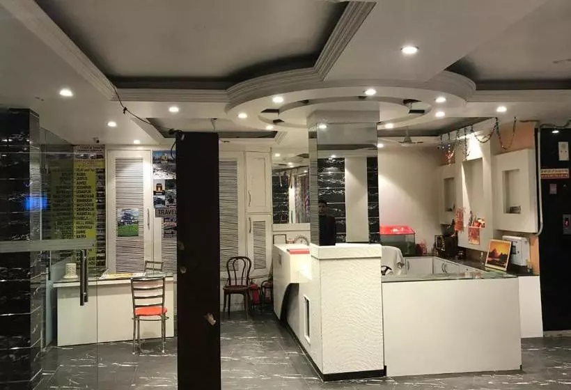 Fotos del hotel Noratan Palace:  3