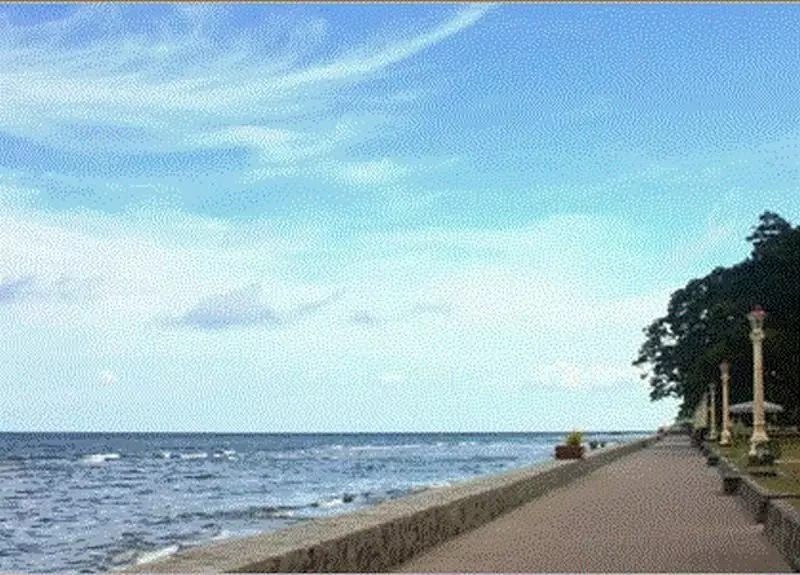 Fotos del hotel Santa Monica Beach Club:  8