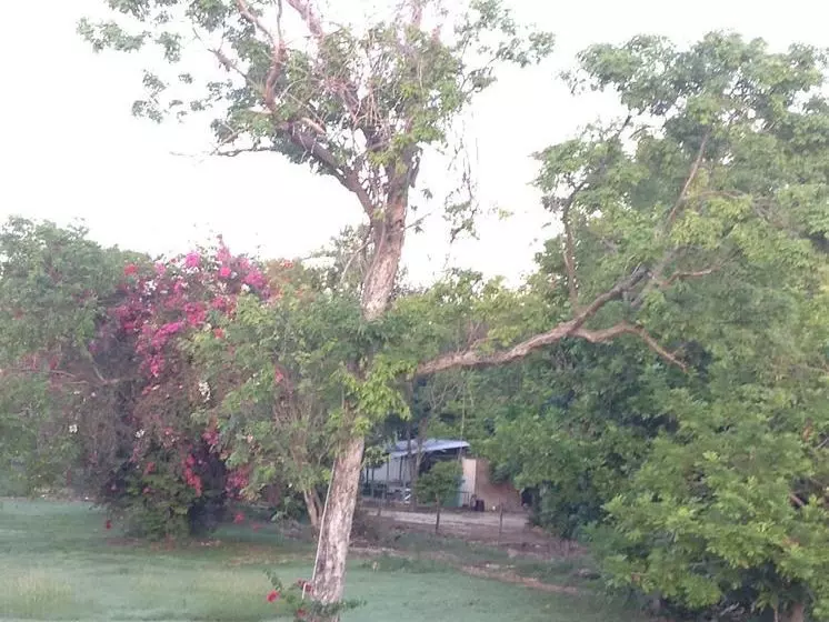 Fotos del hotel Royale Hummingbird Cliff Resort:  8