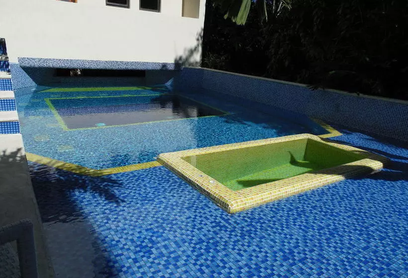 Fotos del hotel Mimosa Tree Residence:  3