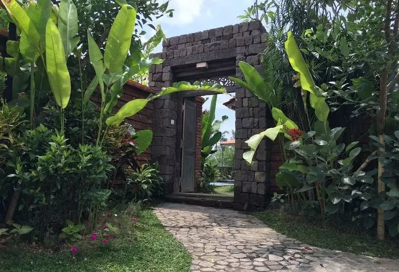 Fotos del hotel Suarti Boutique Village:  8