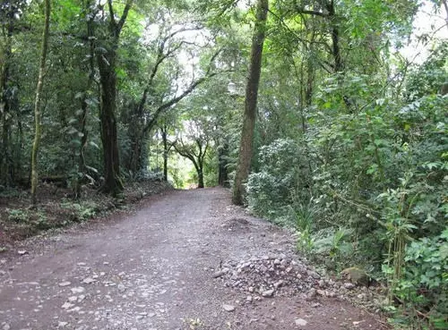 Fotos del hotel El Bosque Trails & Ecolodge:  6